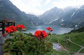 14 dal terrazzo del rifugio